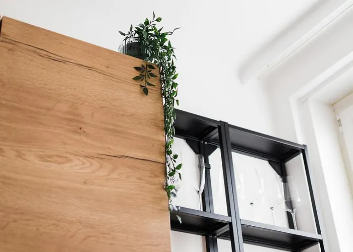 Lägenhet Modernes In Mit Netflix & Balkon Linz