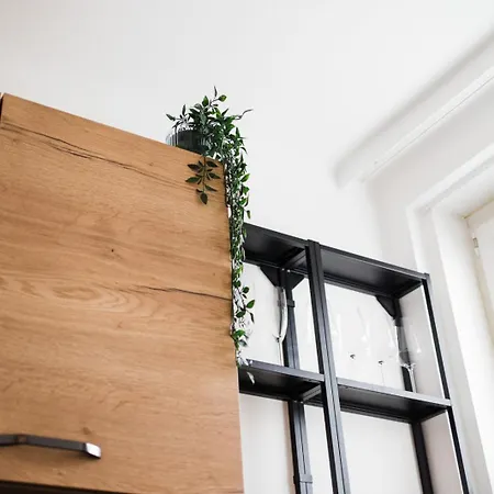 公寓 Modernes In Mit Netflix & Balkon 林茨